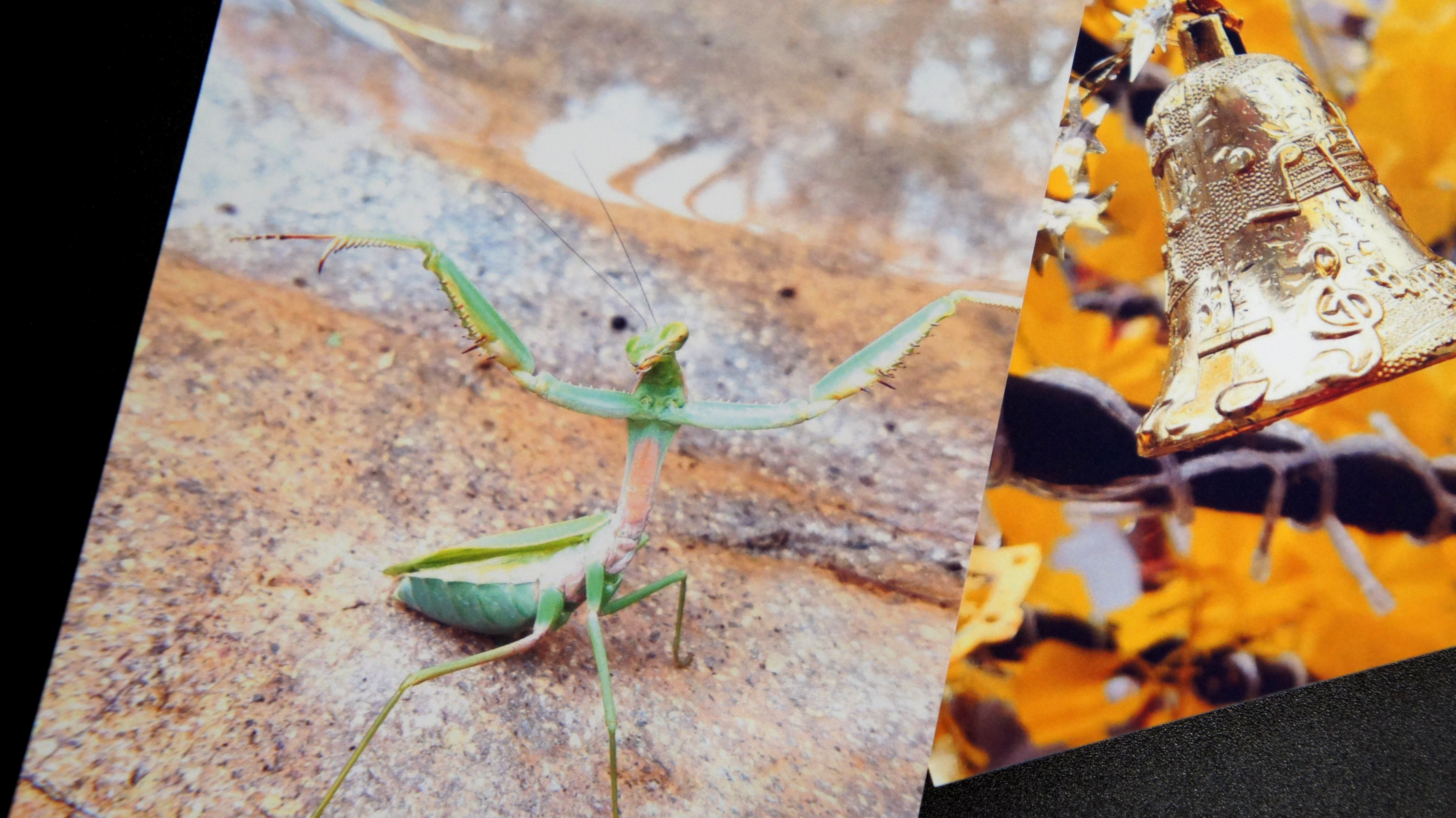 爱普生打印机l3151视频教程,爱普生打印机l3156初学者教程