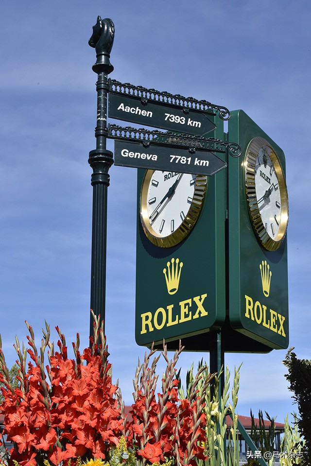 什么！听说几天后云杉草地将会上演一场冠军“厮杀”?