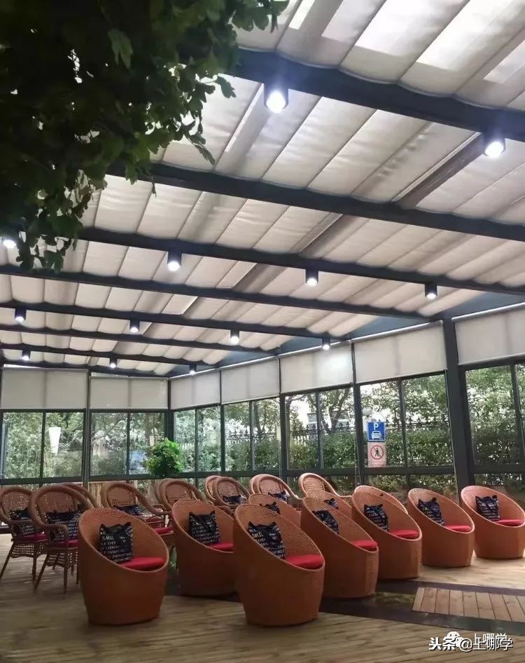 上海最美公办小学,上海环境最好的小学