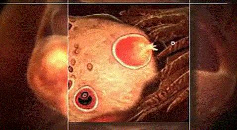 怀孕没那么神秘,所以这么多人才着迷