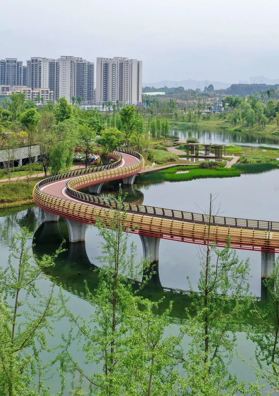 成都哪里的绿道最好,成都绿道最好的地方