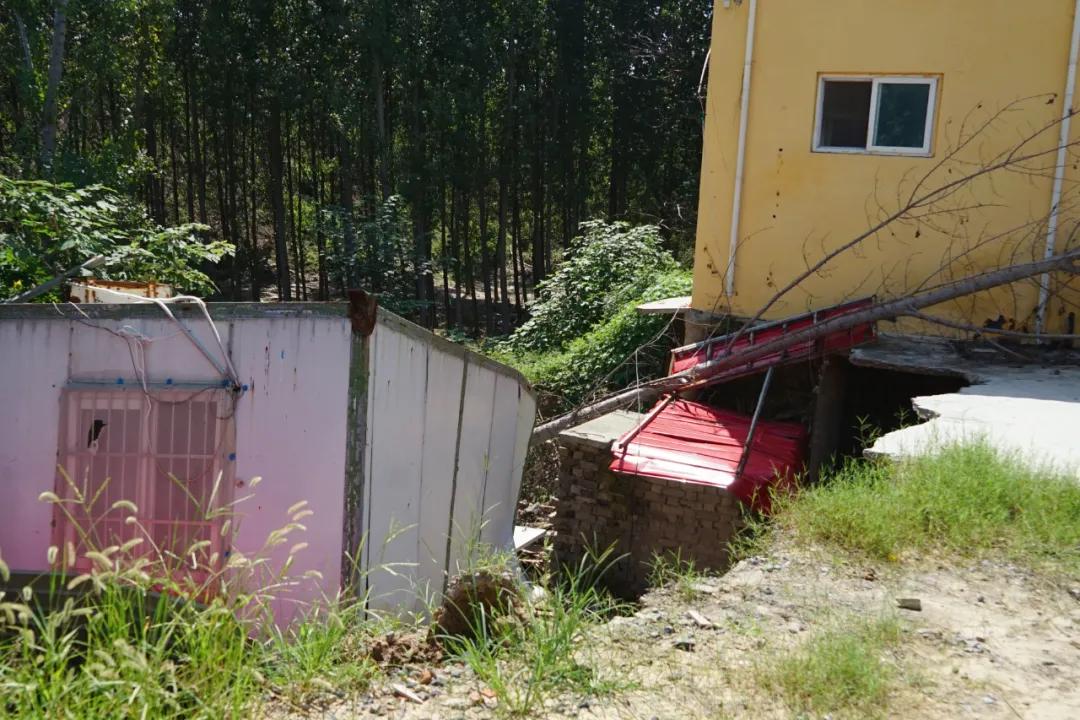 师父愿您一切安好,师父祝贺一切安好