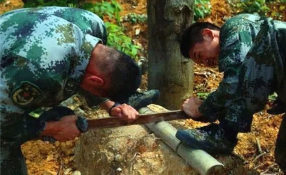 生存小技巧钻木取火,荒野生存取水技巧