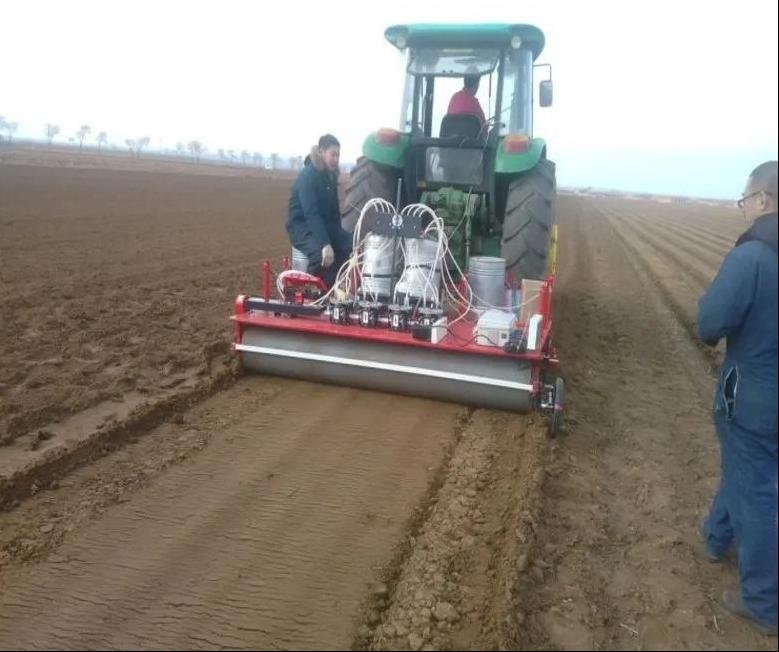 生姜全程病虫害解决方案,生姜苗后地下害虫用什么农药