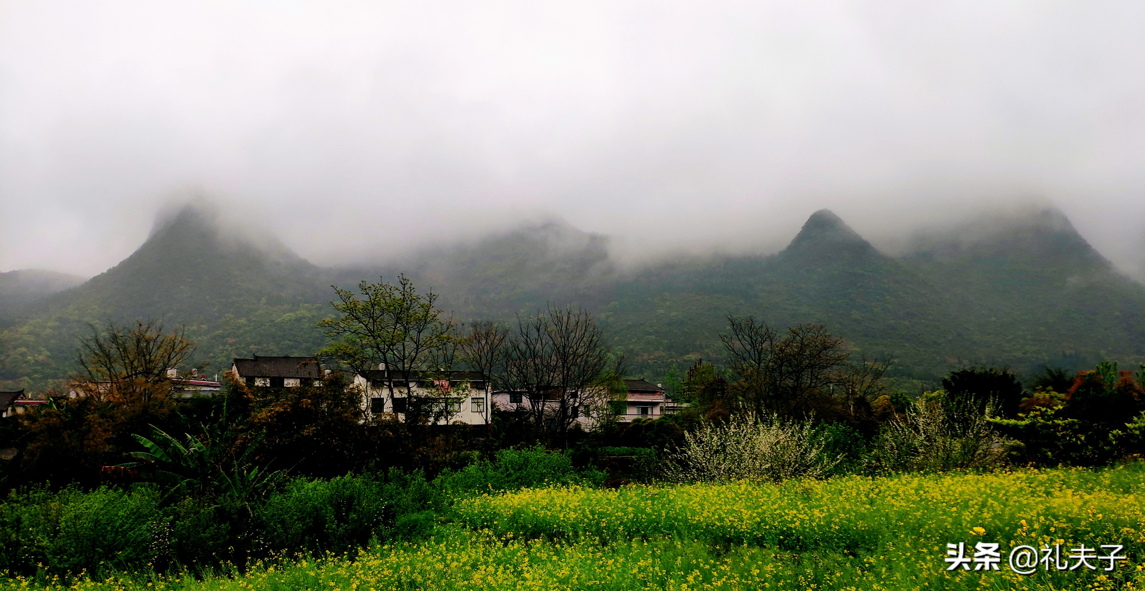 礼夫子深度短文系列——《奴隶的幸福》