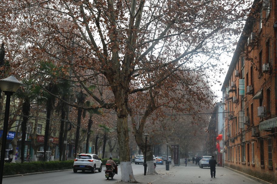 跃进音乐,跃进路唱歌