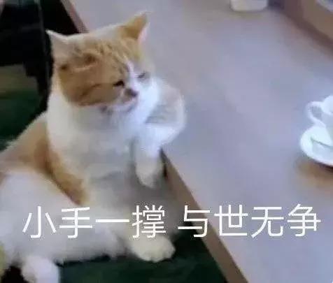 天猫旗舰店产品必须带品牌么,天猫旗舰店阿迪达斯耐克货物真假