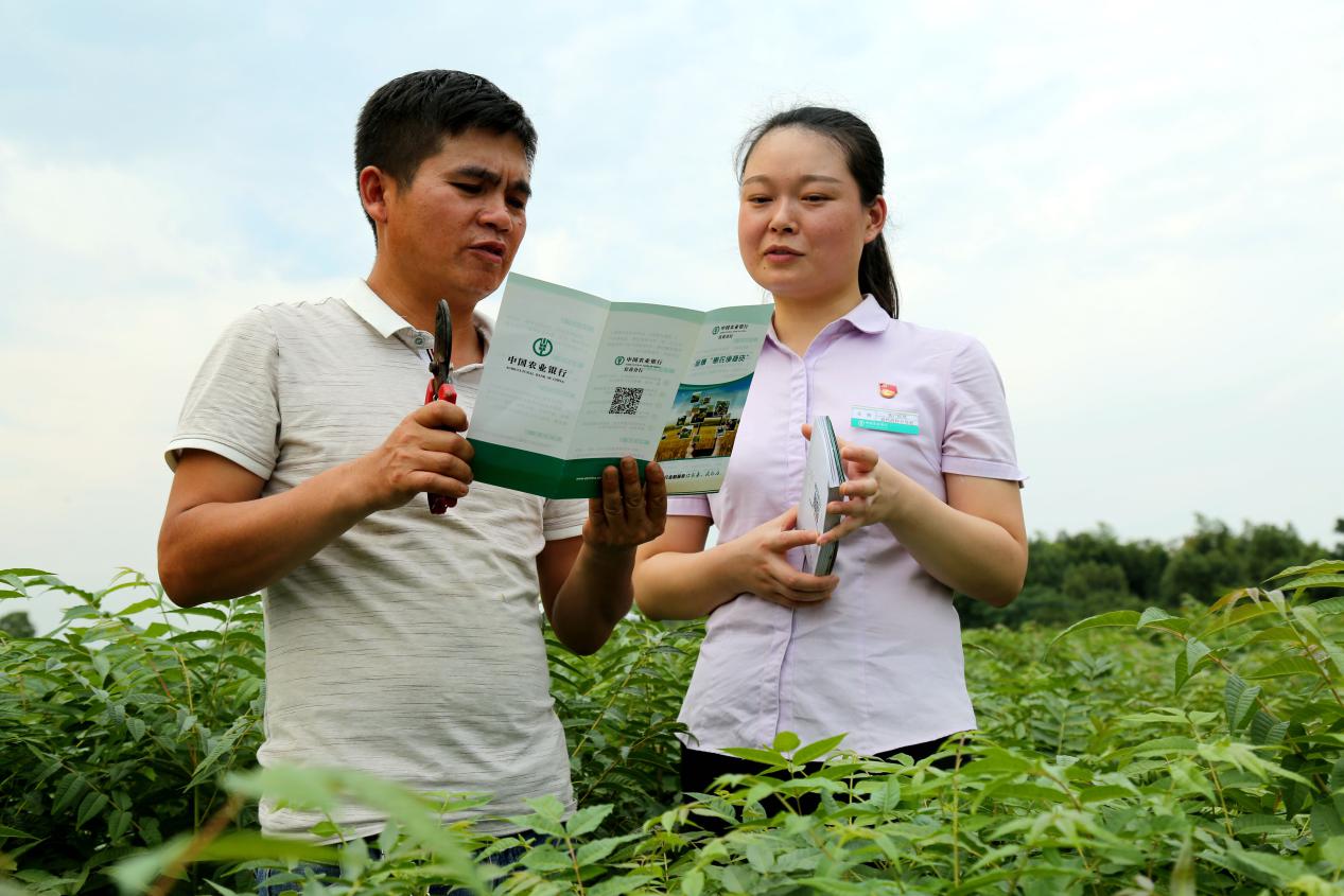 农行县支行绿色金融助力发展,农行邢台分行助力普惠金融发展