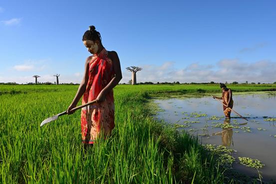 新手调色技巧视频,新手色彩调色教程