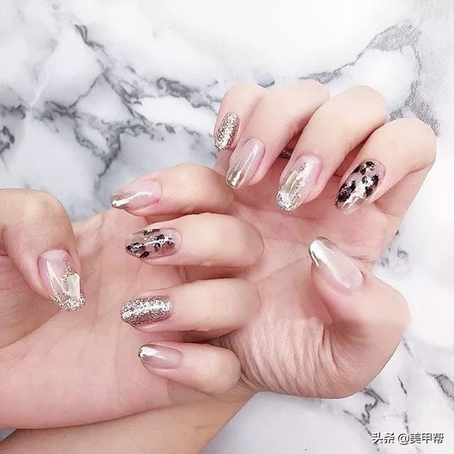 日系琥珀豹纹甲,豹纹甲推荐