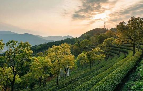 藏在云浮深山的农庄,云浮禅山度假酒店