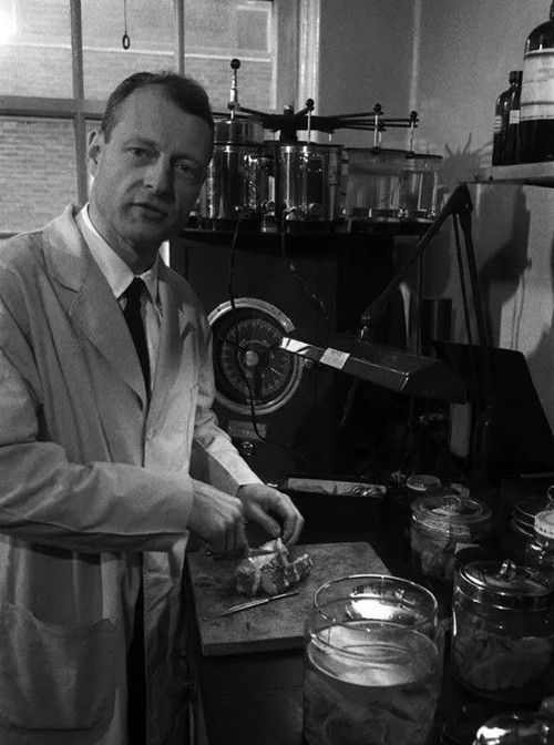 爱因斯坦被偷大脑全过程,爱因斯坦竟然被人偷走大脑的秘密