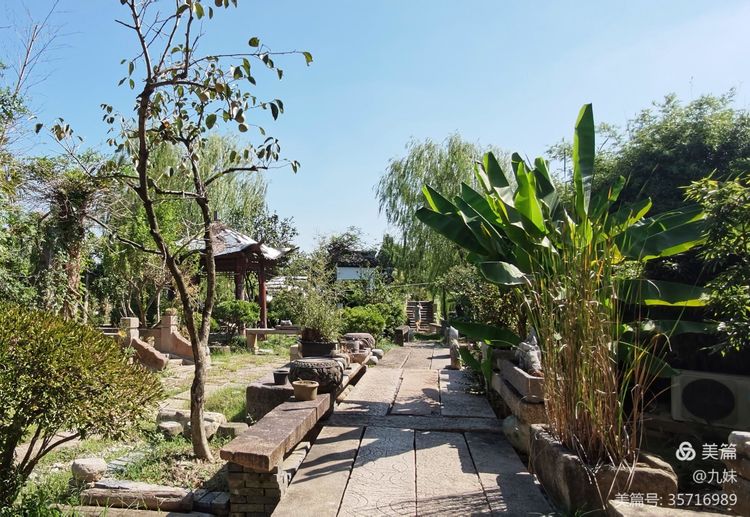 走进风雅石园，位于王店镇聚宝湾景区里