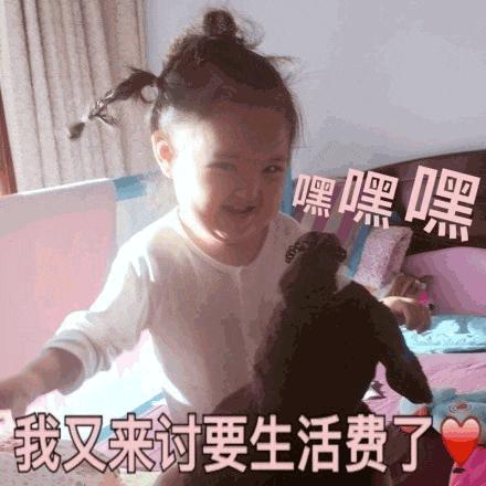 扶弟魔凤凰女,凤凰女加扶弟魔