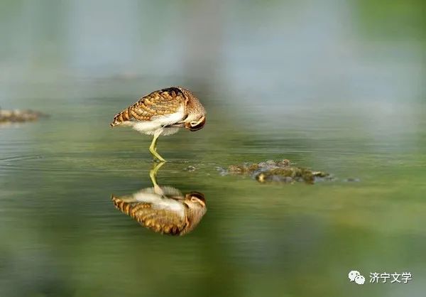 我与菩萨结缘,使我与菩萨结缘