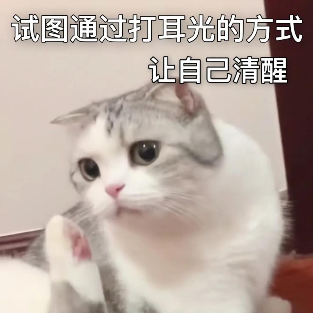 圆脸显老还是显嫩,圆脸显嫩