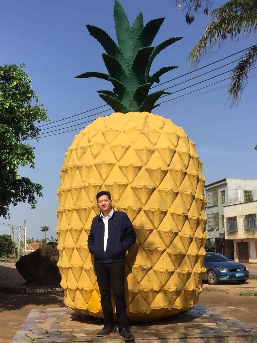 徐闻菠萝与武汉菠萝区别,徐闻菠萝跟普通菠萝的区别