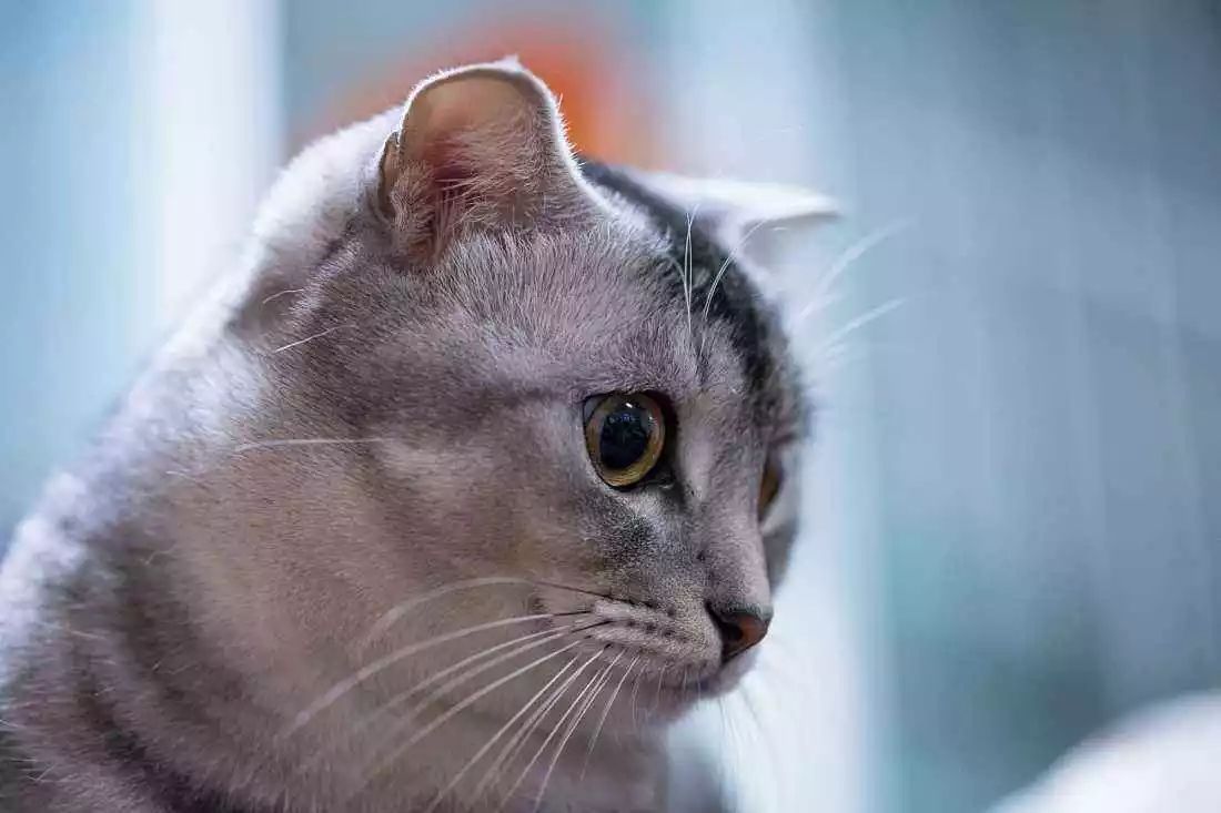 刀锐奶化，毒德大学......学会摄影圈黑话，你就是道上的人了！