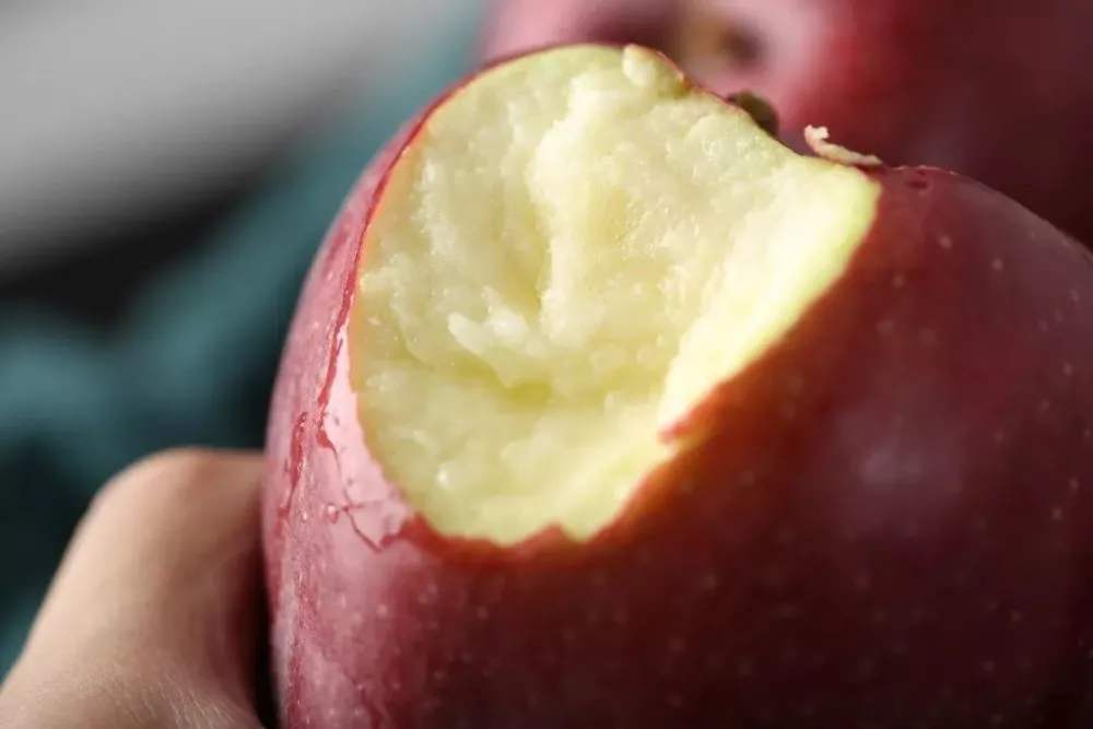 新疆地区最好的苹果品种,阿克苏苹果和甘肃苹果哪个好