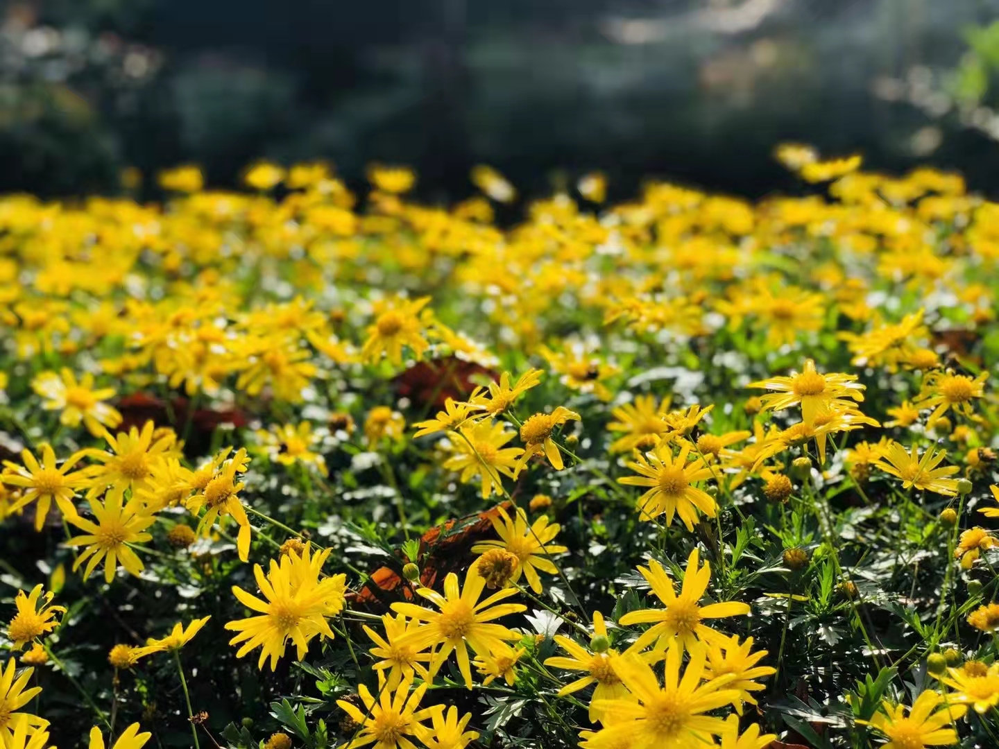 好书共读人性的弱点,好书共读成长感悟