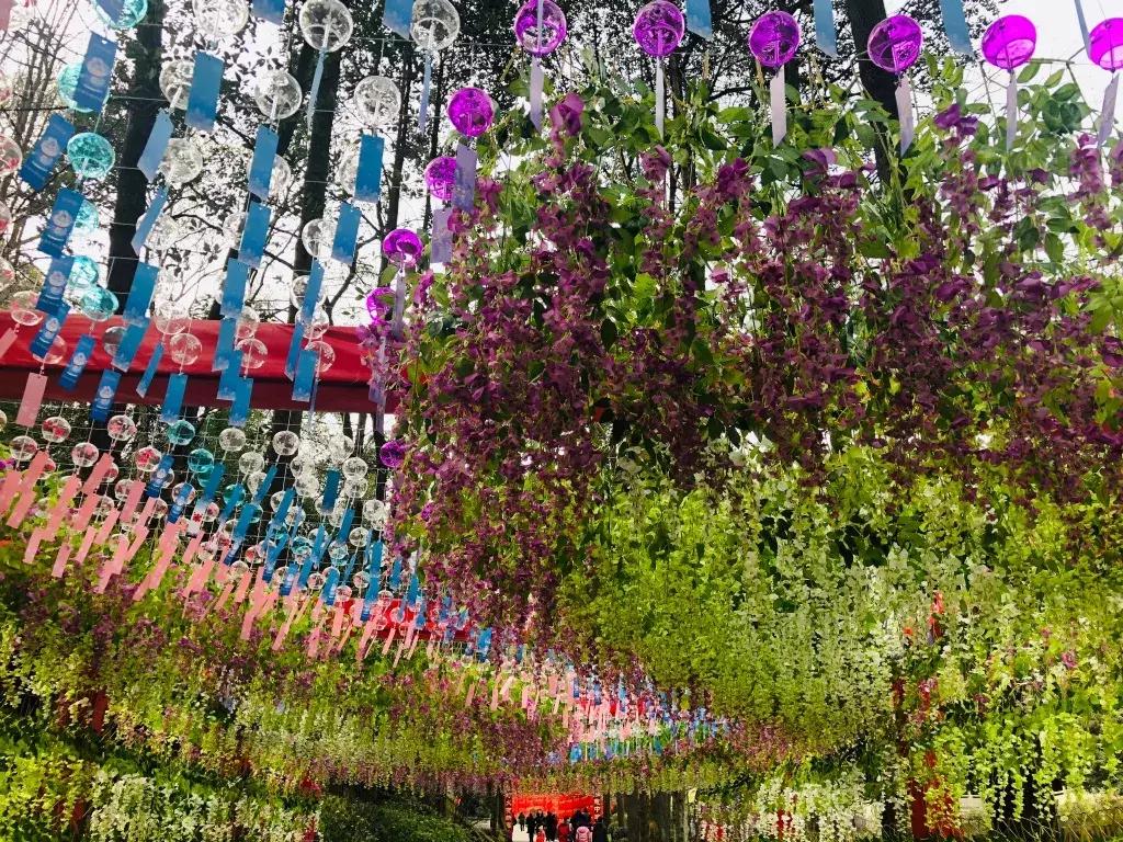 2天1夜旅游攻略成都耍雪,成都周边耍雪一日游攻略