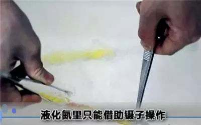 做试管婴儿的全场视频,揭秘试管婴儿的全过程