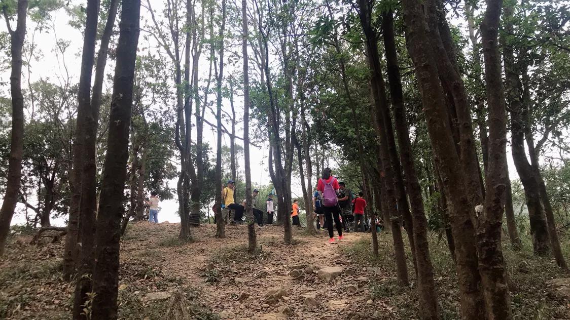 如果你觉得生活太过于平淡,如果你觉得生活太平淡就去改车吧