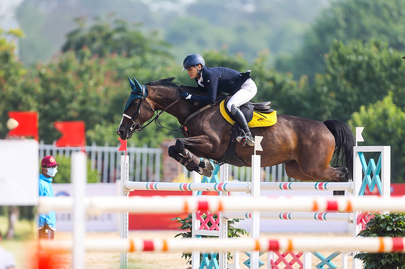 全运会马术比赛在哪里,2023年全国马术场地障碍锦标赛