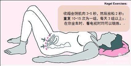 盆底肌的这几个冷知识你知道吗,关于盆底你必须要知道的10个知识