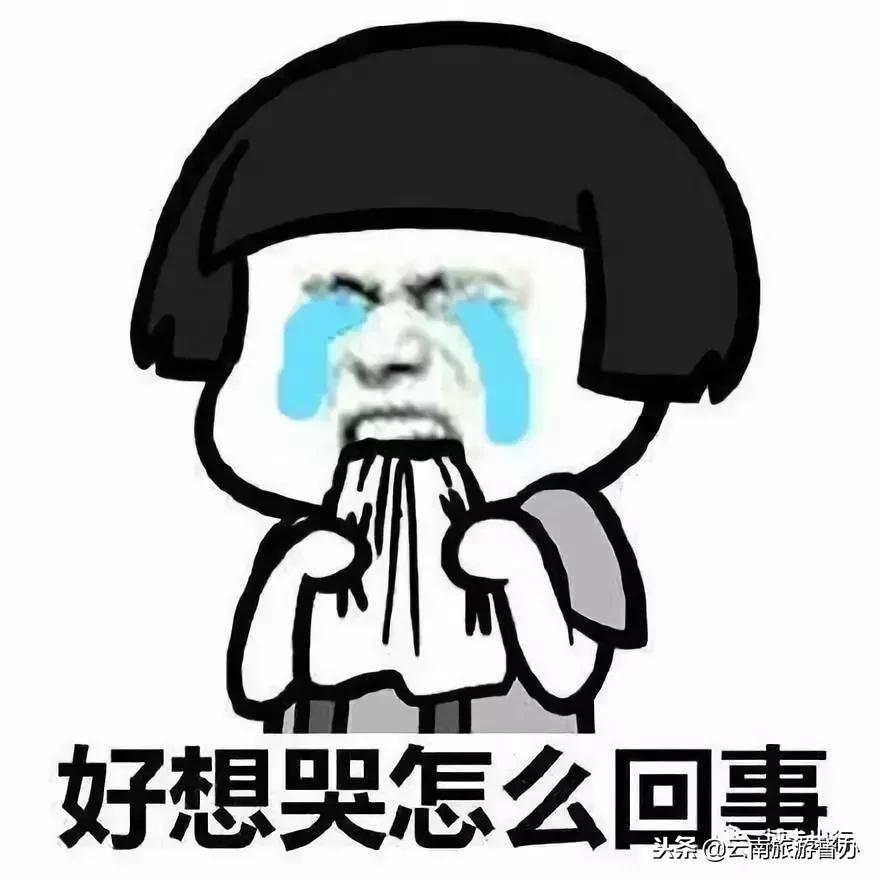 昆明合法的网约车平台,2019年昆明网约车准入车型明细