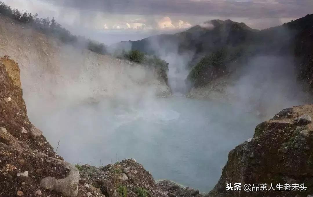 最新世界十大“怪”,最后一个太绝了!