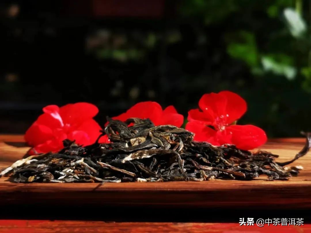 中茶普洱茶生茶推荐,中茶2021臻品黄印熟茶评测