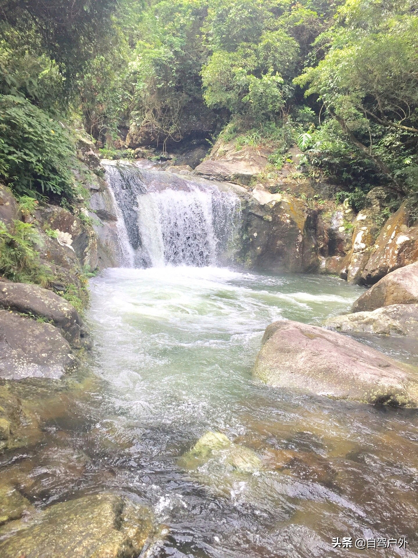 罗浮山脚下小溪露营地推荐,罗浮山休闲竹林露营攻略