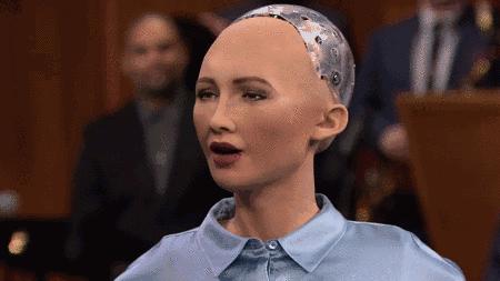 鹦鹉为什么会模仿人说话动画视频,为什么鹦鹉能模仿那么多声音