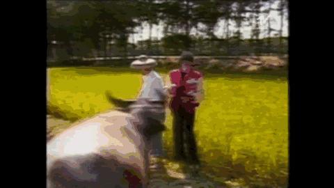 迈克尔杰克逊生活纪实,迈克尔杰克逊居住的地方现状