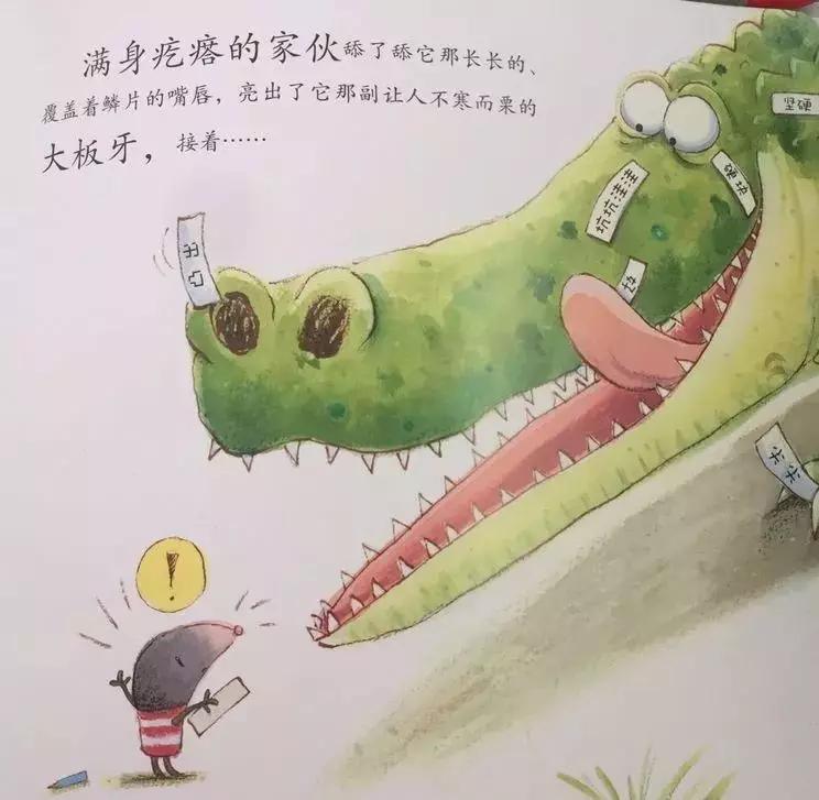 悦宝园主题课程推荐:鳄鱼|AlligatorsandCrocs