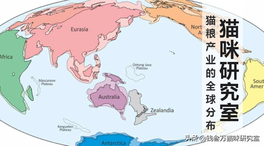 为什么买不到进口猫粮了,为什么选择进口猫粮