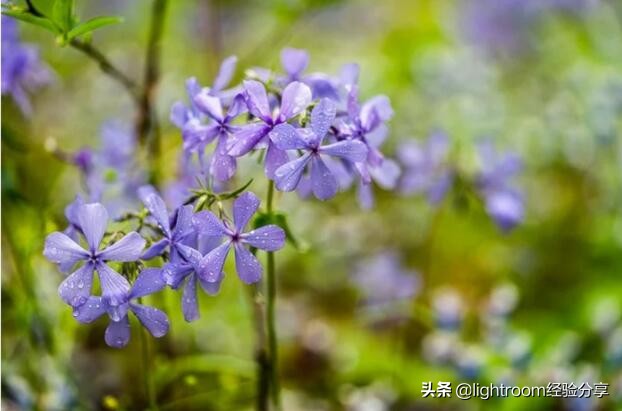 聚焦拍摄怎么弄,选择性聚焦电影片段