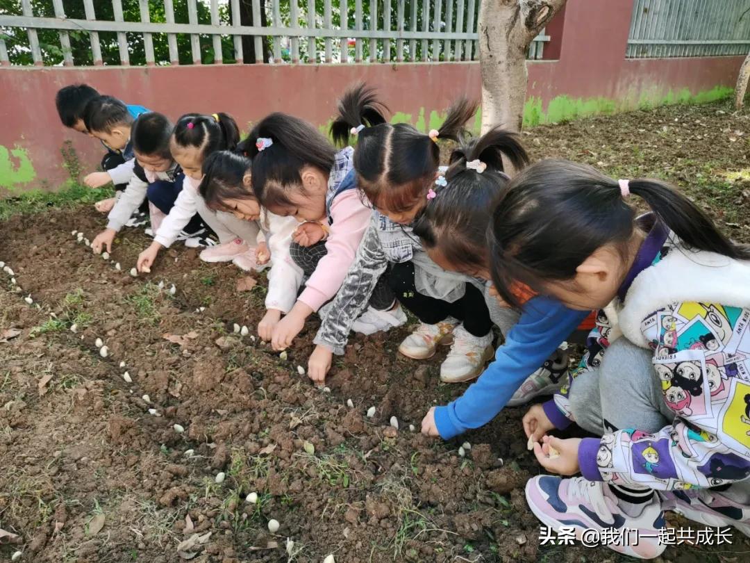 寻一抹秋色，遇一片美好：济南市启明星幼儿园的秋之美