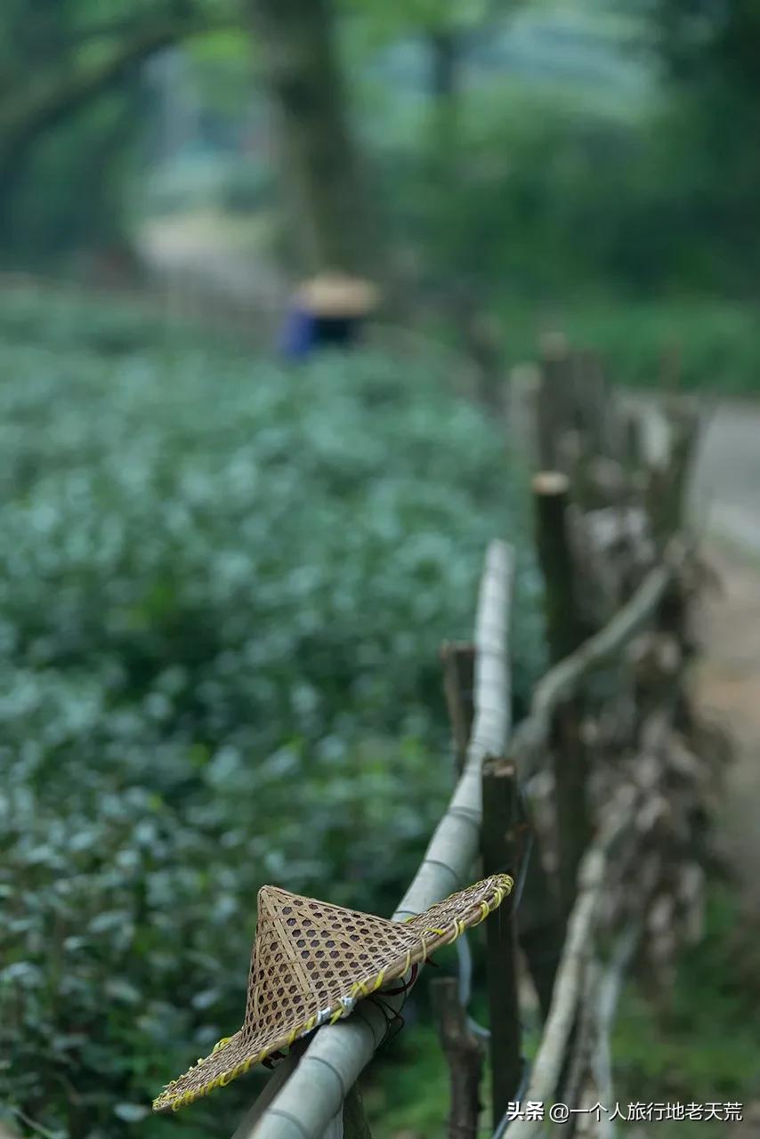 突然很想去看看,突然想去北京看看