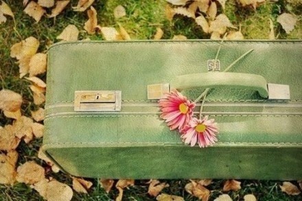 如果你想在家就能轻松挣钱,在家创业赚钱的方法和技巧