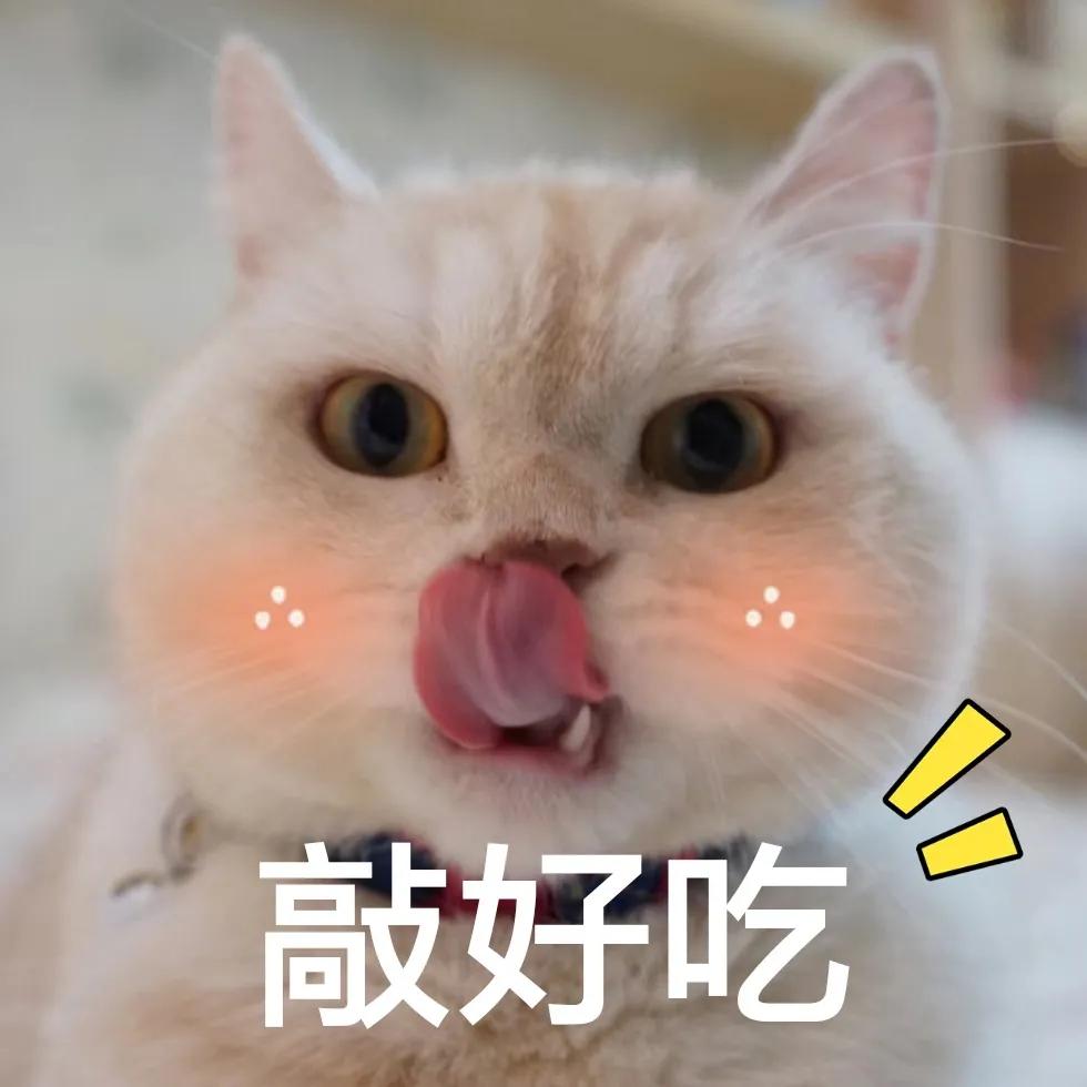 怎么挑选肥美的大闸蟹公蟹,秋季吃蟹指南