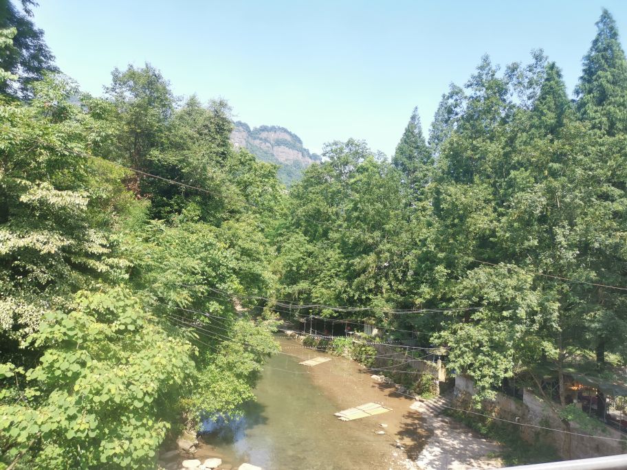 每亩山林可以吸收多少二氧化碳,一万亩森林排放多少吨二氧化碳