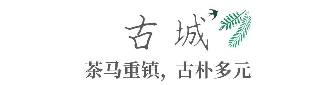 带你Get《司藤》同款神仙美景，春天的香格里拉这样玩
