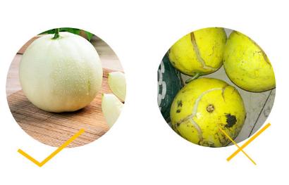 买香瓜时一定要挑选大的吗?详解挑选技巧,吃起来更加香甜可口