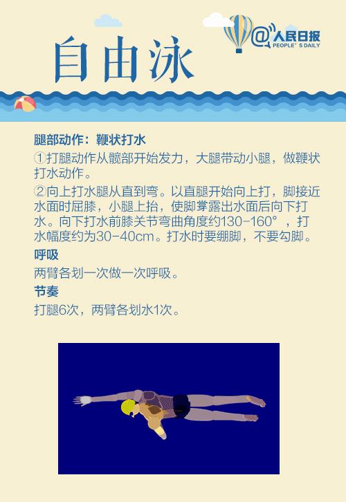 初学游泳的教程,实用游泳教程教材