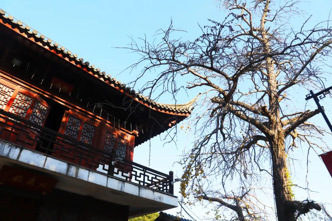 苏州西山农家乐民宿游,苏州西山农家乐旅游网官网