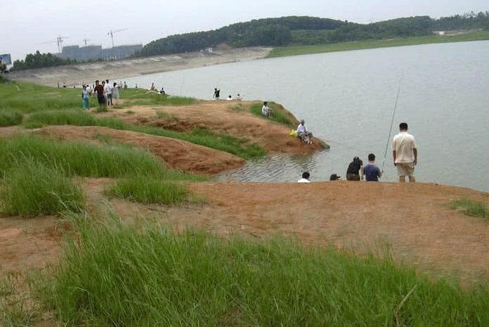 深圳宝安钓鱼免费的地方,现在哪些地方可以免费钓鱼