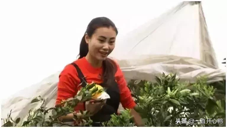 致富经节目现在怎么样了,致富经里的节目真实吗