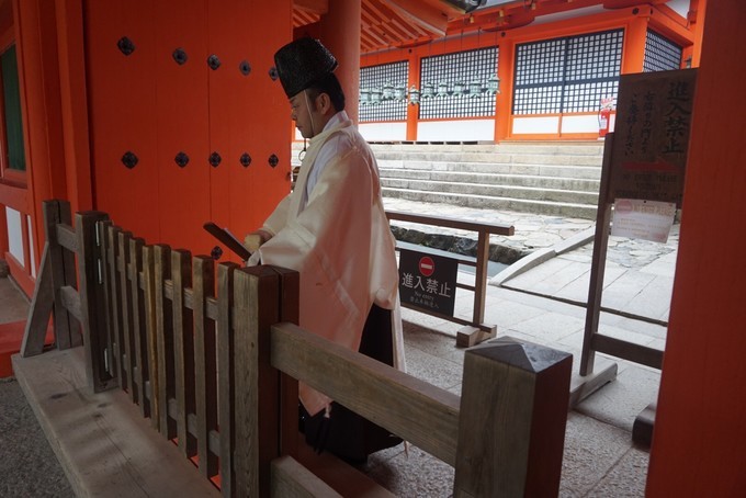 大阪蹦迪酒吧,京都大阪烧